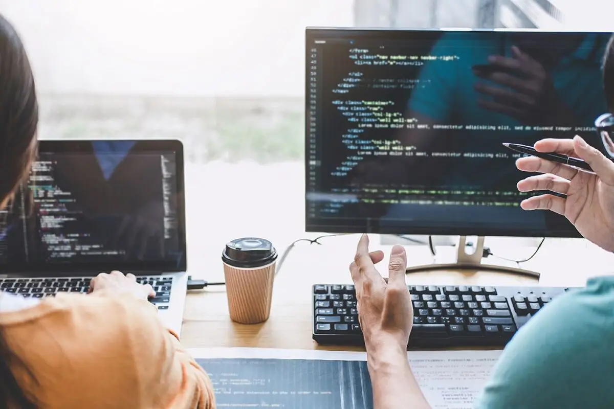Website programming and development